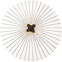 81rRR6++v9L._AC_UL210_SR210,